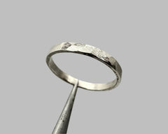 ZEUS RING PLATINUM 2MM WIDE