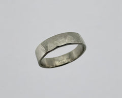 ZEUS RING PLATINUM 6MM WIDE