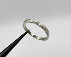 ZEUS RING PLATINUM 2MM WIDE